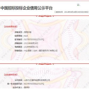 中國招標(biāo)投標(biāo)企業(yè)信用公示平臺